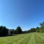 Freshly mowed residential lawn with clean mowing stripes