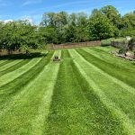 Freshly cut backyard lawn with straight mowing stripes