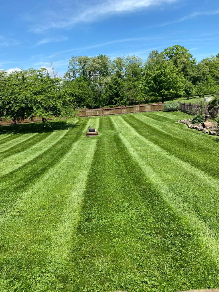 Freshly cut backyard lawn with straight mowing stripes
