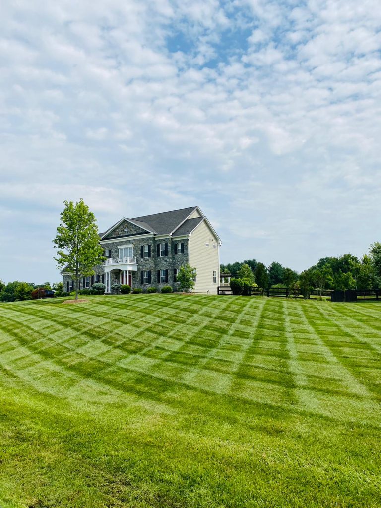 Large freshly mowed lawn with professional crosshatch mowing pattern