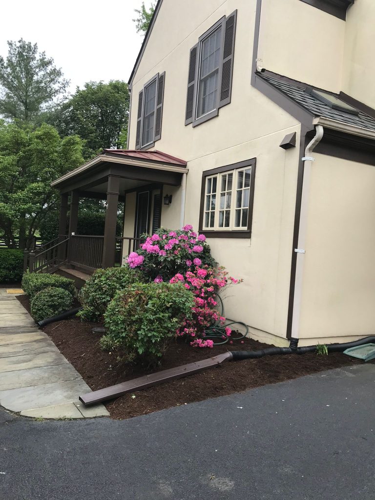Landscaped garden bed with pink flowering shrubs beside a residential home