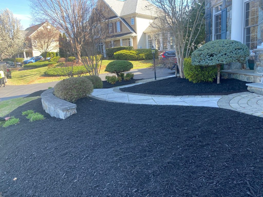 Freshly mulched front yard landscape bed with trimmed shrubs and stone edging