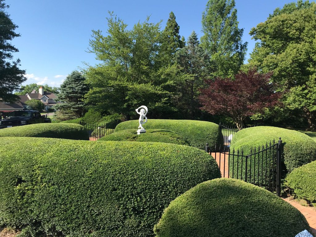 Professionally trimmed hedges and shrubs surrounding a landscaped garden